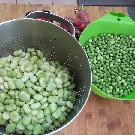 Terroir De Familles Bed & Breakfast Ecurey-en-Verdunois