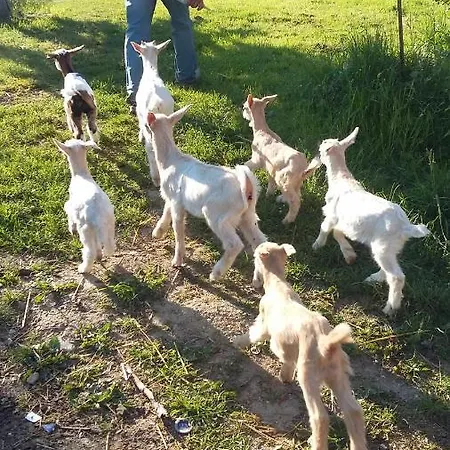 Couette-café Terroir De Familles