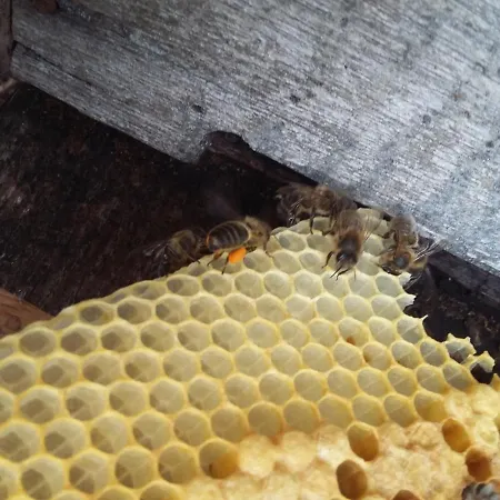 Terroir De Familles Ecurey-en-Verdunois