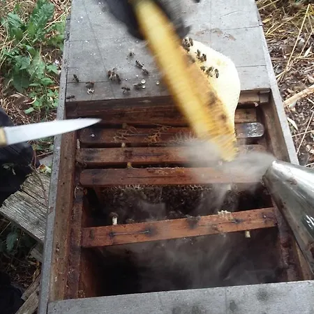 Terroir De Familles Couette-café 3*