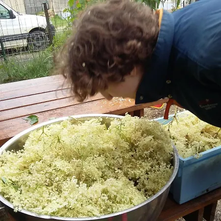 Bed & Breakfast Terroir De Familles Ecurey-en-Verdunois