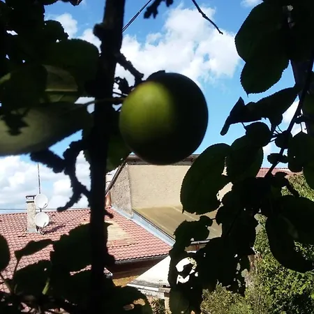 Terroir De Familles Couette-café 3*