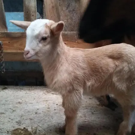 Couette-café Terroir De Familles 3*