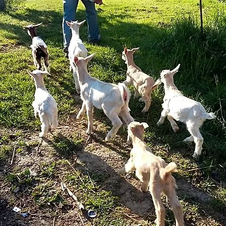 Terroir De Familles