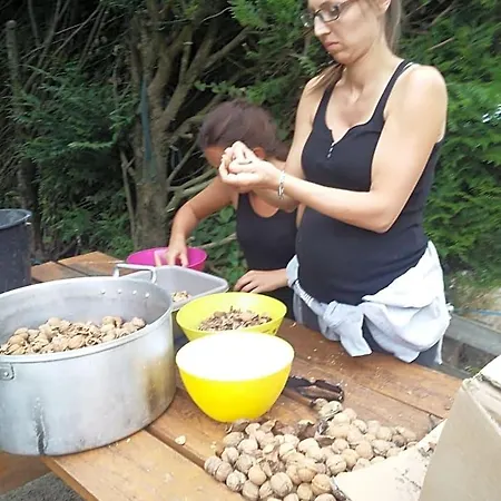 Terroir De Familles