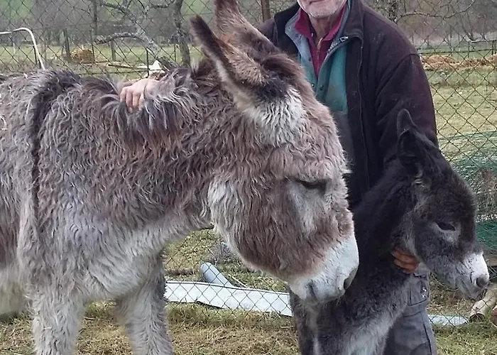 Terroir De Familles 3* Ecurey-en-Verdunois