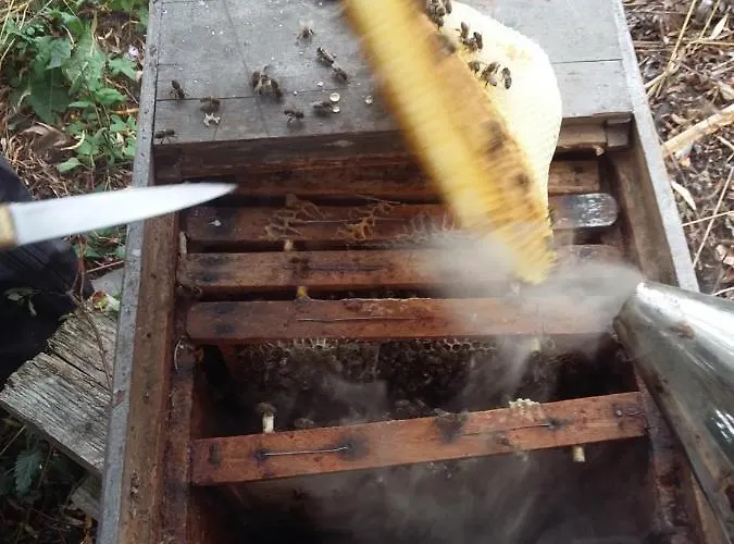 Terroir De Familles Отель типа 