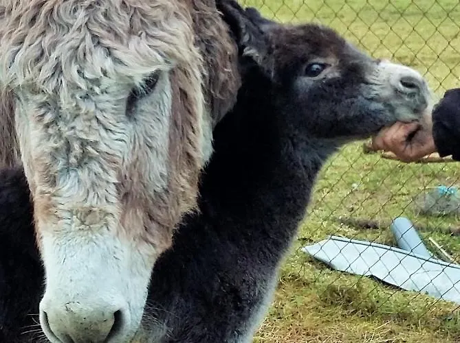 Terroir De Familles 3*