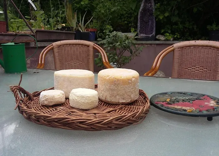 Terroir De Familles Отель типа 