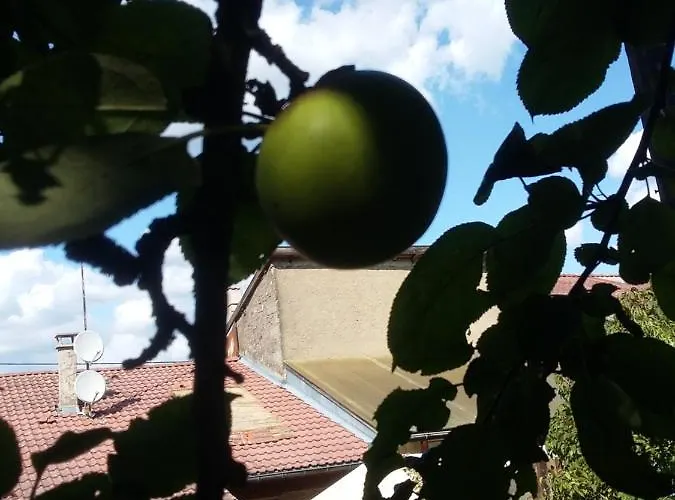 Terroir De Familles Отель типа 