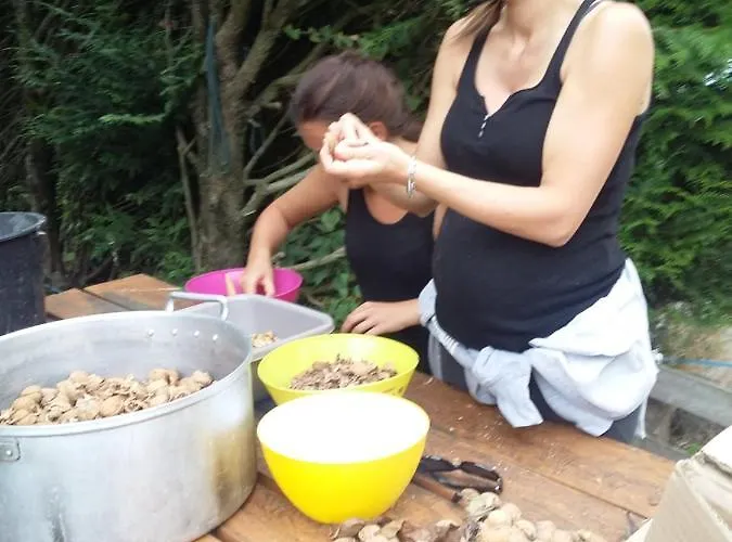 Terroir De Familles Отель типа 